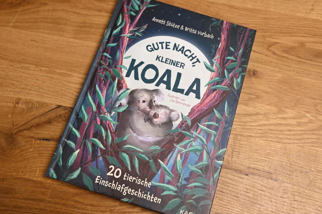 Titelbild Gute Nacht, kleiner Koala